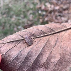 Meet your Posher, Danny